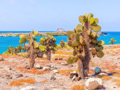 Santa Fe in the Galapagos