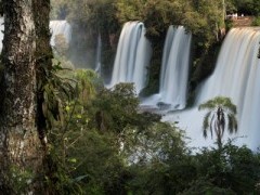 Iguazu falls.