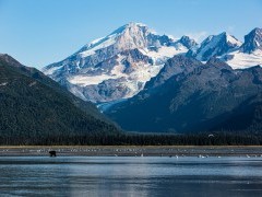 Brown bear in Lake Clark National Park, Alaska