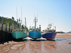 Fishing boats in St Martins, Canada