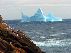 Iceberg in Newfoundland, Canada