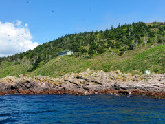 Witless Bay Ecological Reserve in Newfoundland, Canada