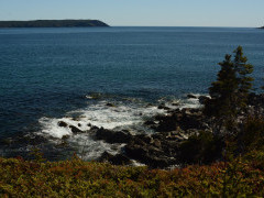 Witless Bay Ecological Reserve in Newfoundland, Canada