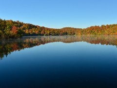 Laurentian forest and lake in autumn