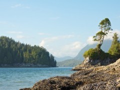 Tofino on Vancouver Island, Canada