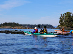 Kayaking in Vancouver Island, Canada