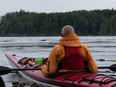 Kayaking with orcas in Vancouver Island, Canada