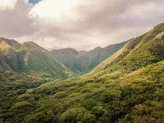 Halawa Valley & Hipuapua Falls in Hawaii