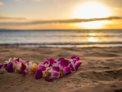 Lei in Hawaii