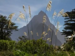 View of Mitre Peak in New Zealand.