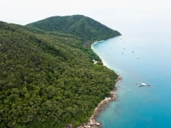 Aerial view of Fitzroy Island, Great Barrier Reef, Australia