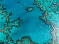 Aerial view of the Great Barrier Reef, Australia