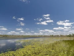 View of Mareeba Wetlands, Australia