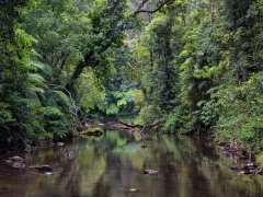 Mobo Creek Crater, in the Atherton Tablelands, Australia