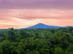 View from Walindi Plantation Resort in Papua New Guinea.