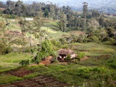 Mount Hagen in Papua New Guinea.