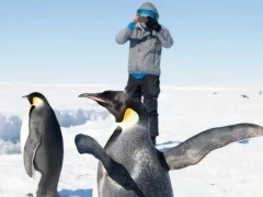 Photographer observing penguins in Antarctica.