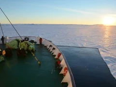 Ortelius in Snow Hill, Antarctica.