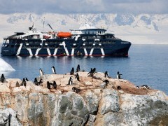 Chinstrap penguins and Magellan Explorer.