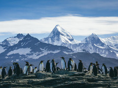 Penguins with mountains behind  in Antarctica.