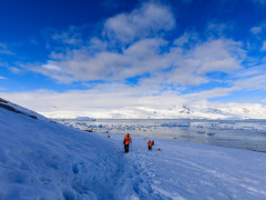 Tourists walking in the Polar Circle, Antarctica
