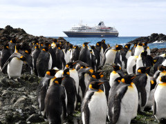 King penguin colony and Heritage Adventurer in Cape Adare, Ross Sea.