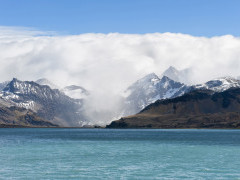 King Edward Cove in South Georgia