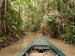Canoeing down the Madre de dios river, Peru.