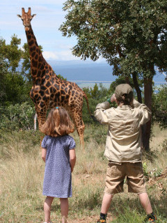Giraffe & tourists in South Africa.