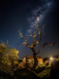 Night sky over Zimanga Private Game Reserve in South Africa.
