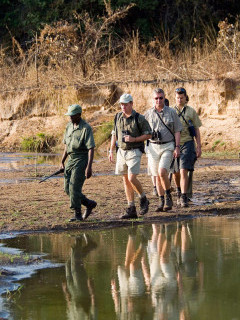 People on a walking safari in South Luangwa National Park, Zambia 