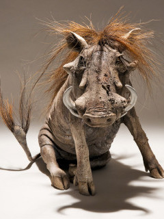Warthog sculpture by Nick Mackman