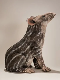 A sitting tapir.