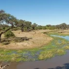 Mababe Private Reserve in Botswana.