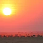 Sunset in Botswana.