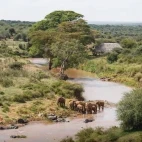 Aerial view of Ol Gaboli Lodge, with elephants in the river, Kenya