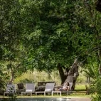 Guest relaxing by the swimming pool at Simbavati Camp George.