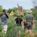 Guests embarking on a walking safari from Senalala Safari Lodge in Klaserie Private Nature Reserve, South Africa.
