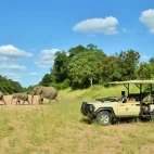 Guests out on a game drive in Kruger National Park.