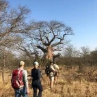 Guests on one of the optional bush walks at Imbali Safari Lodge.