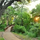 Walkway route at the lodge, Kruger National Park.