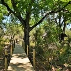 Part of the walkway at Rhino Post Safari Lodge, South Africa.
