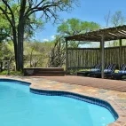 View of the swimming pool and covered sun lounge area at Rhino Post Safari Lodge.