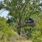 External sleep-out-deck for guests to enjoy a night high in the trees, for a different view of the African safari wildlife.