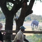 Guests enjoying the view from the sleep-out deck at Rhino Post Safari Lodge, observing an elephant.