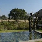 Outdoor view of the lodge, overlooking a water feature and local wildlife in the background.