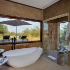 The main bathroom at Amber Villa, Sabi Sabi Earth Lodge. The space includes a large shower area and freestanding bath.