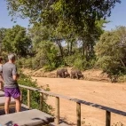Guests watching elephants at Bateleur Safari Camp, South Africa.