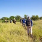 Guests out for a walk, staying at Bateleur Safari Camp, South Africa.