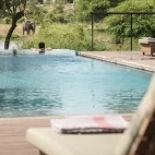 A guest enjoying the infinity style swimming pool, with view of an elephant in the distance at Tanda Tula in South Africa